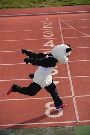 funny bear olympic - Panda Crosing the Finish Line Stock Photo - Premium Royalty-Free, Code: 622-01572285