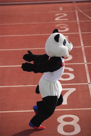 Panda Crosing the Finish Line Foto de stock - Sin royalties Premium, Código: 622-01572283