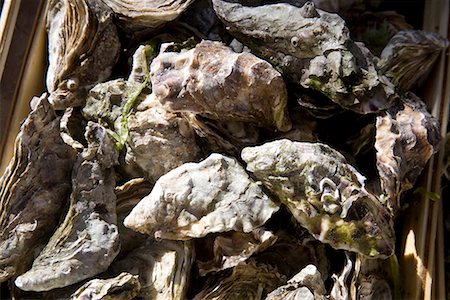 raw oyster - Oysters Stock Photo - Premium Royalty-Free, Code: 622-02354730