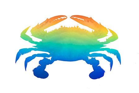 simsearch:622-02354860,k - Crab Stock Photo - Premium Royalty-Free, Code: 622-02354867