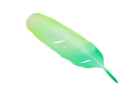 simsearch:622-02354860,k - Feather Stock Photo - Premium Royalty-Free, Code: 622-02354880