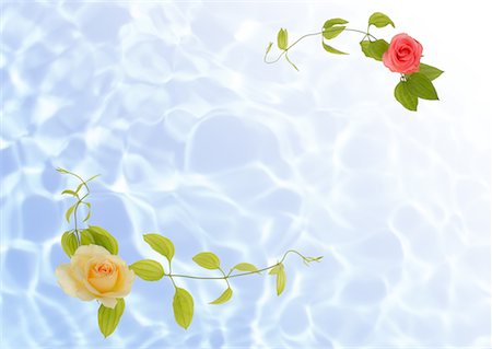 flower border design of rose - Floral Paper Stock Photo - Premium Royalty-Free, Code: 622-02354998