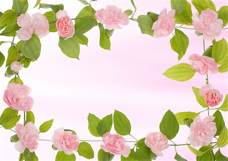roses border designs - Floral Paper Stock Photo - Premium Royalty-Free, Code: 622-02355003