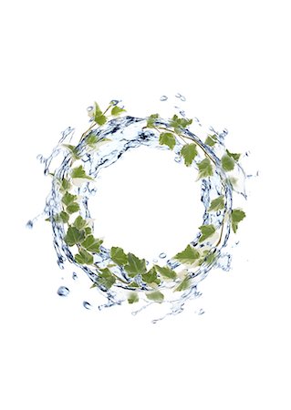 ecology water - Ring Stock Photo - Premium Royalty-Free, Code: 622-02355030