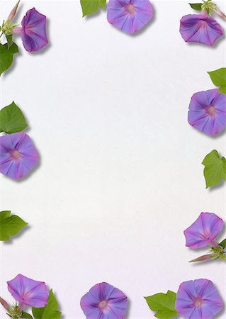 simsearch:622-02355053,k - Purple Flower Motif Paper Stock Photo - Premium Royalty-Free, Code: 622-02355084