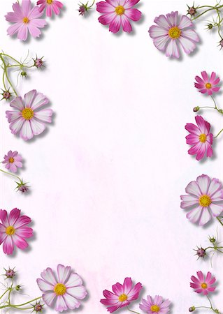 simsearch:622-02355053,k - Pink Flower-Motif Paper Stock Photo - Premium Royalty-Free, Code: 622-02355085