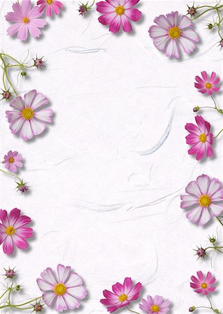 simsearch:622-02355053,k - Pink Flower-Motif Paper Stock Photo - Premium Royalty-Free, Code: 622-02355086