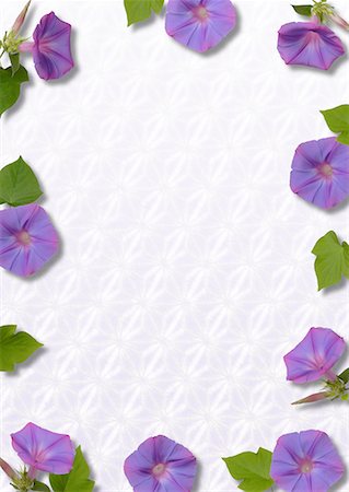 simsearch:622-02355053,k - Purple Flower Motif Paper Stock Photo - Premium Royalty-Free, Code: 622-02355082