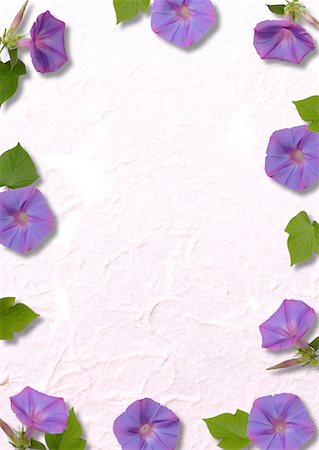 simsearch:622-02355053,k - Purple Flower Motif Paper Stock Photo - Premium Royalty-Free, Code: 622-02355083