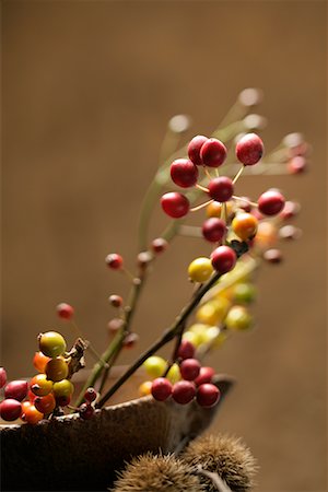 Japanese Twigs in Bowl Foto de stock - Sin royalties Premium, Código: 622-02355120