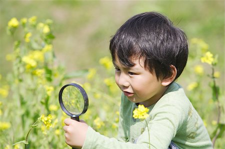 flower photo boy girl - Japanese boy looking at flowers with magnifying glass Foto de stock - Sin royalties Premium, Código: 622-02395720