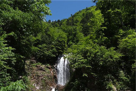 simsearch:400-04715797,k - Waterfall in Forest Foto de stock - Sin royalties Premium, Código: 622-02758344