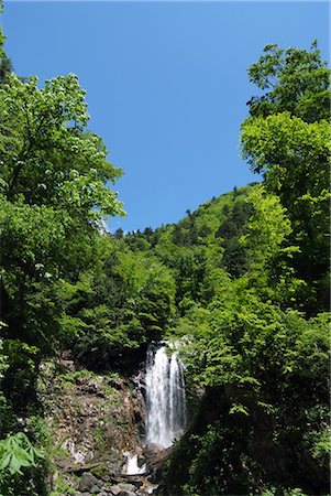 simsearch:400-04715797,k - Waterfall in Forest Foto de stock - Sin royalties Premium, Código: 622-02758343