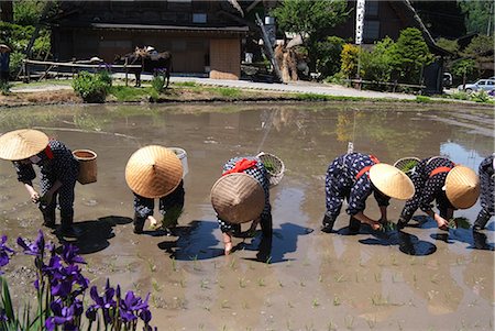 shirakawa - Agriculteurs dans les champs de riz Photographie de stock - Premium Libres de Droits, Code: 622-02758354