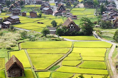 shirakawa - Vue de rizière et japonais maison traditionnelle Photographie de stock - Premium Libres de Droits, Code: 622-02758374