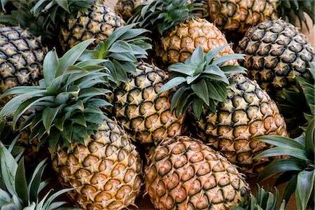 Pineapple Fruits Stock Photo - Premium Royalty-Free, Code: 622-02758635