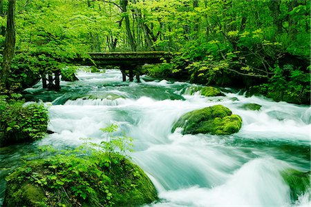 Oirase Stream Passing From Forest in  Aomori Prefecture Stock Photo - Premium Royalty-Free, Code: 622-02758712