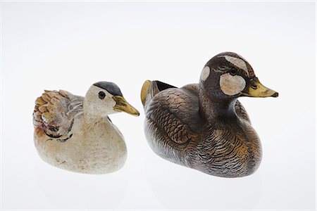 pato de isca - Wooden Duck Decoy on White Background Foto de stock - Royalty Free Premium, Número: 622-02758784