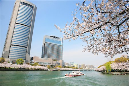 Okawa, Cherry Blossom Spring Amenity Park Osaka  in Japan Foto de stock - Sin royalties Premium, Código: 622-02758948