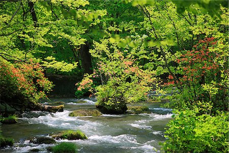 simsearch:400-04715797,k - Scenic View of Oirase Stream, Aomori Prefecture, Japan Foto de stock - Sin royalties Premium, Código: 622-02758971