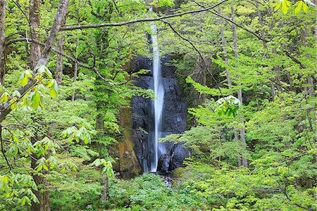 simsearch:859-03035925,k - Malerischer Blick auf Oirase Stream, Präfektur Aomori, Japan Stockbilder - Premium RF Lizenzfrei, Bildnummer: 622-02758986