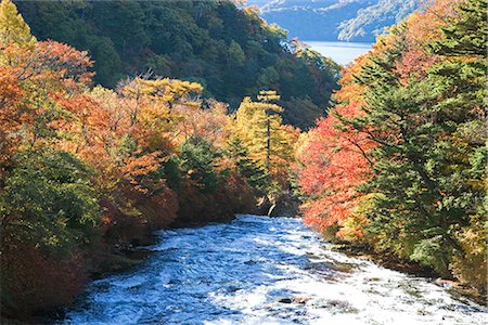 simsearch:622-06548977,k - Crown Waterfall in Tochigi Prefecture, Japan Foto de stock - Sin royalties Premium, Código: 622-02759256