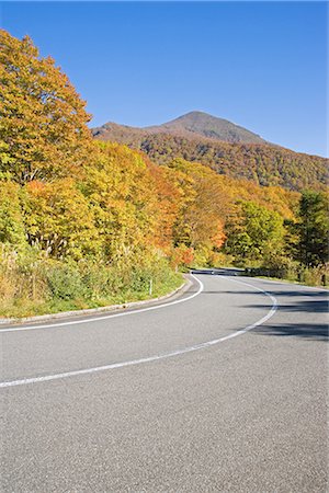 simsearch:622-02759388,k - Roadway Through Trees,Fukushimaa Prefecture,Japan Stock Photo - Premium Royalty-Free, Code: 622-02759285