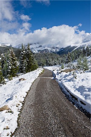 rockies and flowers - Road Heading From Snow-Capped Mountains Stock Photo - Premium Royalty-Free, Code: 622-02759654