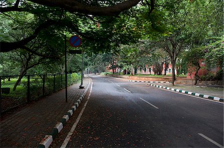 Trees along a road, Bangalore, Karnataka, India Stock Photo - Premium Royalty-Free, Code: 630-06722300