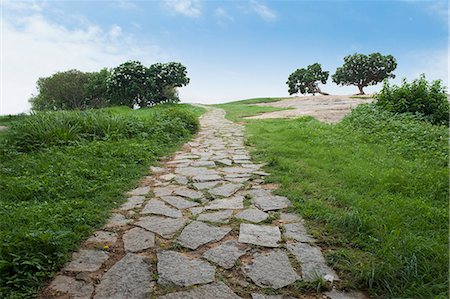 Footpath in a park, Bangalore, Karnataka, India Stock Photo - Premium Royalty-Free, Code: 630-06722310