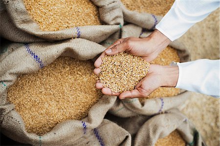 Man holding wheat grains from a sack in his cupped hands, Anaj Mandi, Sohna, Gurgaon, Haryana, India Photographie de stock - Premium Libres de Droits, Code: 630-07071183