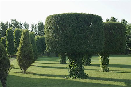 Dans un jardin Photographie de stock - Premium Libres de Droits, Code: 630-01079112