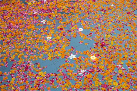 simsearch:649-03009628,k - High angle view of rose petals floating on water Stock Photo - Premium Royalty-Free, Code: 630-01079202