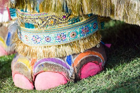 elephant festival - Close-up of an elephant's painted leg, Jaipur, Rajasthan, India Stock Photo - Premium Royalty-Free, Code: 630-01127622