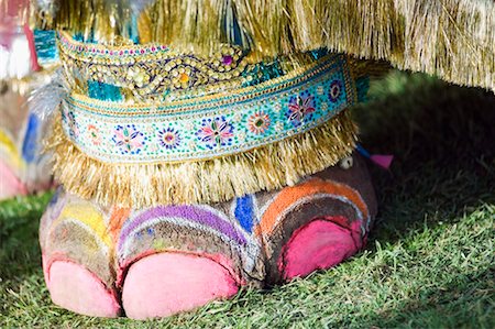 Close-up of an elephant's painted leg, Jaipur, Rajasthan, India Stock Photo - Premium Royalty-Free, Code: 630-01127622