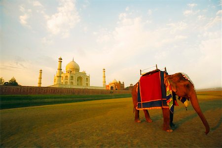 simsearch:630-01130201,k - Debout éléphant près d'un mausolée, Taj Mahal, Agra, Uttar Pradesh, Inde Photographie de stock - Premium Libres de Droits, Code: 630-01128254