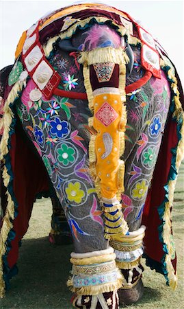 elephant festival - Rear view of a painted elephant, Elephant Festival, Jaipur, Rajasthan, India Stock Photo - Premium Royalty-Free, Code: 630-01129327