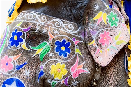 paint on head - Close-up of a painted elephant, Elephant Festival, Jaipur, Rajasthan, India Stock Photo - Premium Royalty-Free, Code: 630-01129467