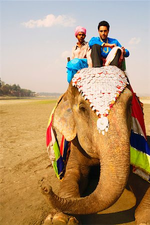 elephant indian costume - Low angle view of two young men sitting on an elephant Stock Photo - Premium Royalty-Free, Code: 630-01130600