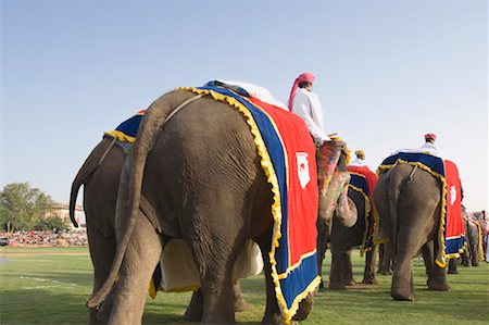 Rear view of three men riding elephants at an elephant festival Jaipur, Rajasthan, India Stock Photo - Premium Royalty-Free, Code: 630-01191625