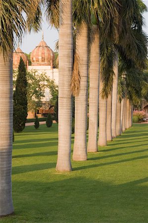 Lawn outside a monument, Safdarjung Tomb, New Delhi, India Stock Photo - Premium Royalty-Free, Code: 630-01191805