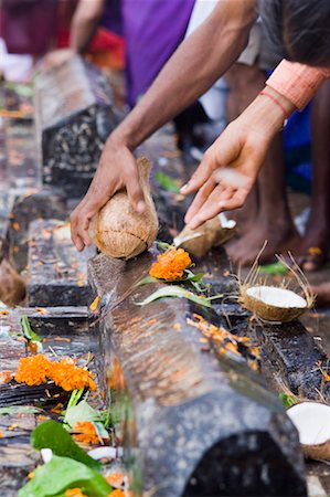 Person's hand breaking a coconut in a temple, Tirupati, Andhra Pradesh, India Stock Photo - Premium Royalty-Free, Code: 630-01192016
