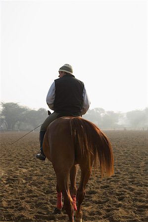Rear view of a man riding a horse Stock Photo - Premium Royalty-Free, Code: 630-01491800