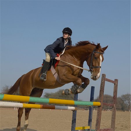 riding outfit - Femme jockey monte un cheval et en sautant par-dessus la haie Photographie de stock - Premium Libres de Droits, Code: 630-01491863