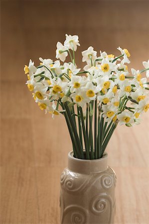 daffodil flower - Close-up of a flower pot Stock Photo - Premium Royalty-Free, Code: 630-01491996