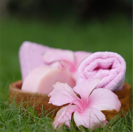 petal on stone - Gros plan des produits de traitement du spa sur l'herbe Photographie de stock - Premium Libres de Droits, Code: 630-01708280