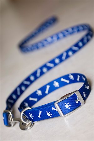 Close-up of a pet collar and a leash Foto de stock - Sin royalties Premium, Código: 630-01709694