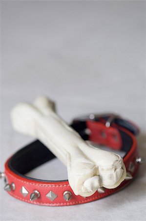 Close-up of a pet collar and a dog bone Foto de stock - Sin royalties Premium, Código: 630-01709697