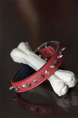 Close-up of a pet collar and a dog bone Foto de stock - Sin royalties Premium, Código: 630-01709699