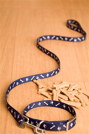 studded - Close-up of a dog leash with dog biscuits Stock Photo - Premium Royalty-Free, Code: 630-01709717